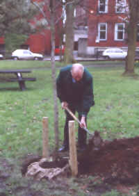 Mr Robin Miller, the great-great grandson of cotton manufacturer Thomas Miller, plants a tree in Winckley Square