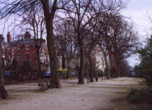 Looking south with Bushell Place on the left